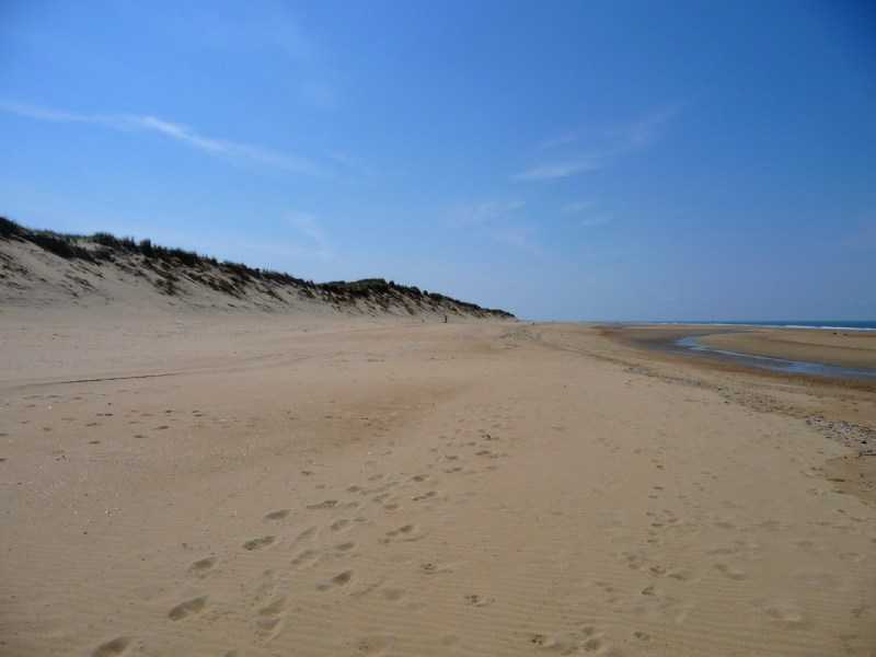 Enlarge P1010921.JPG