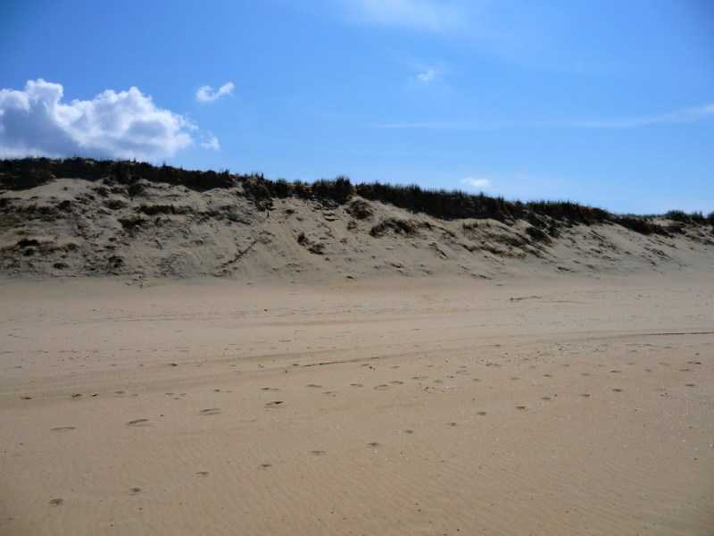 Enlarge P1010923.JPG