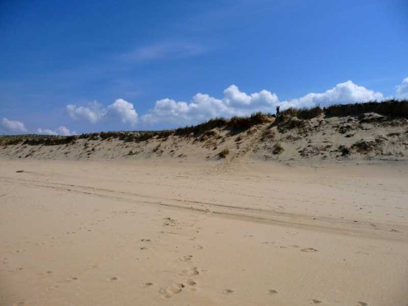 Enlarge P1010924.JPG