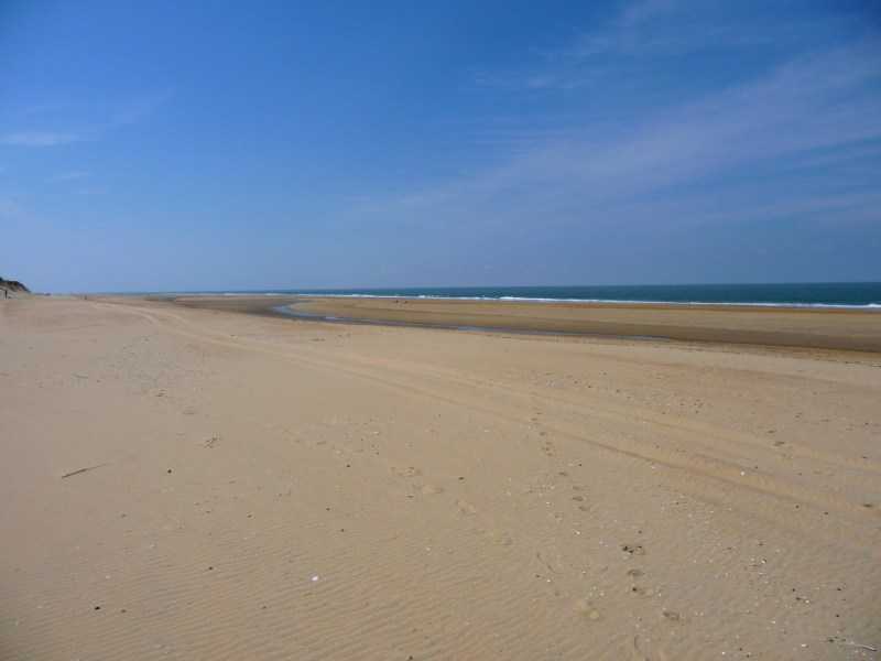 Enlarge P1010928.JPG