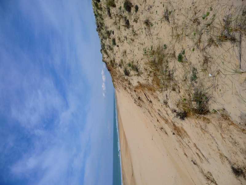 Enlarge P1010937.JPG