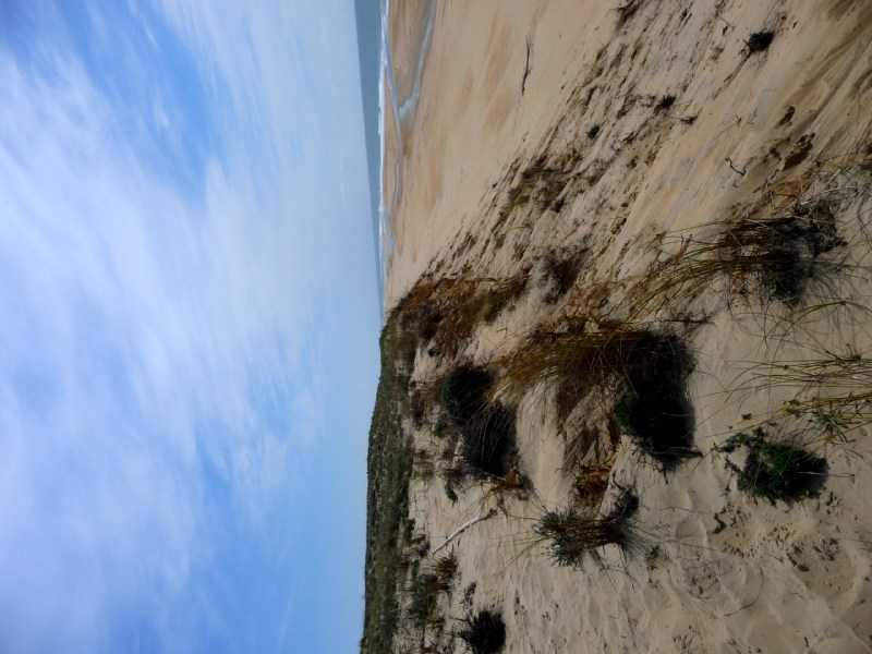 Enlarge P1010938.JPG