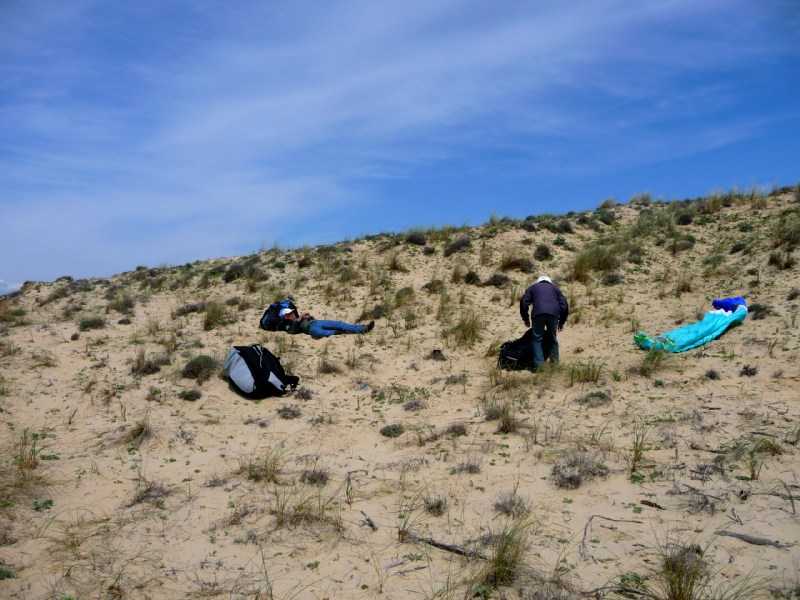 Enlarge P1010939.JPG