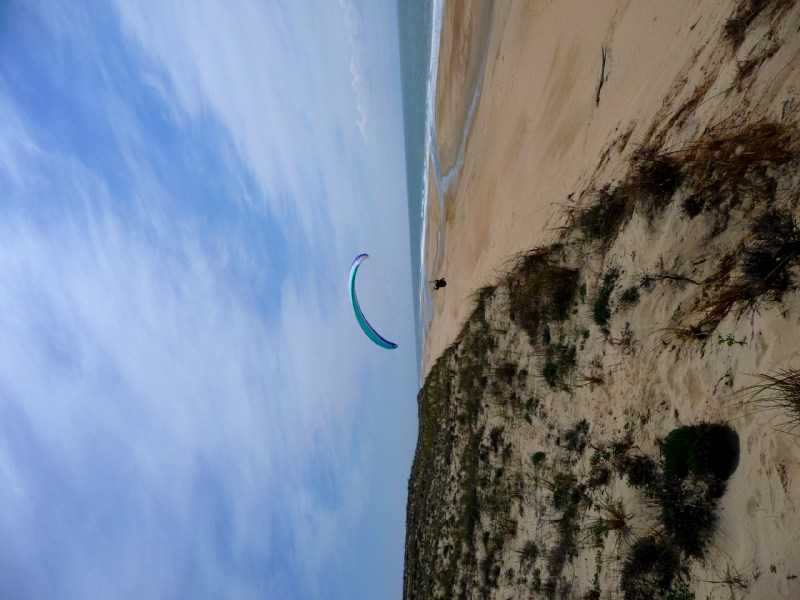 Enlarge P1010944.JPG