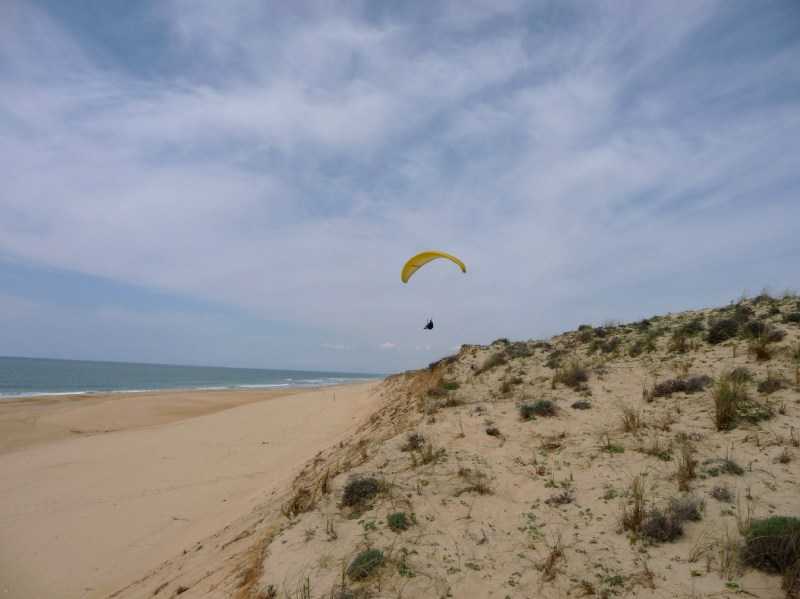 Enlarge P1010947.JPG