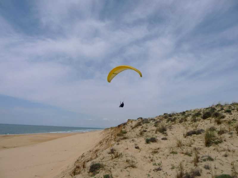 Enlarge P1010948.JPG