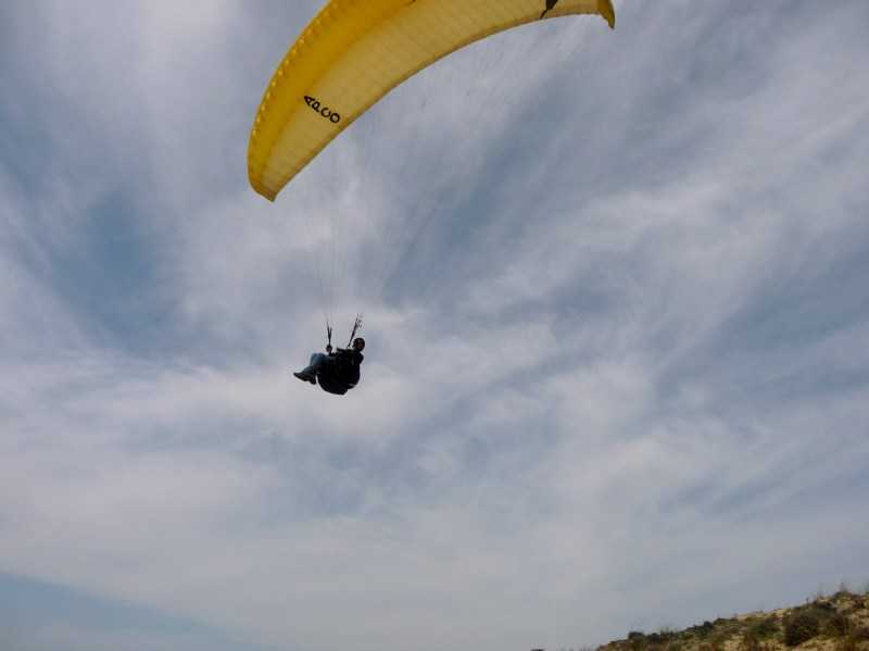 Enlarge P1010949.JPG