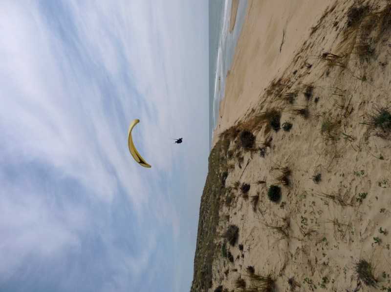 Enlarge P1010951.JPG