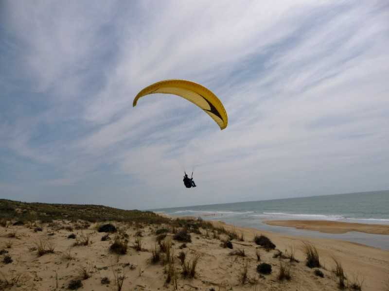 Enlarge P1010952.JPG