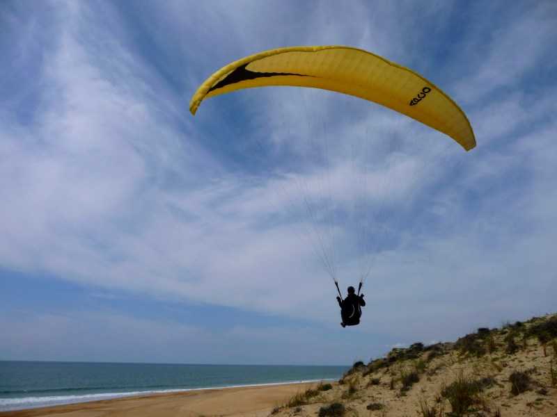 Enlarge P1010953.JPG