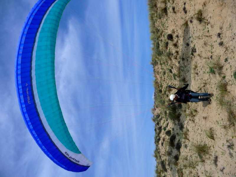 Enlarge P1010954.JPG