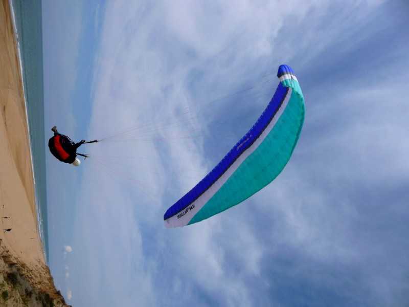 Enlarge P1010955.JPG