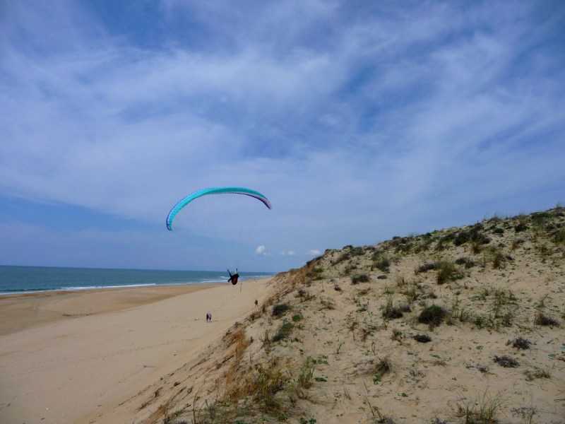 Enlarge P1010956.JPG