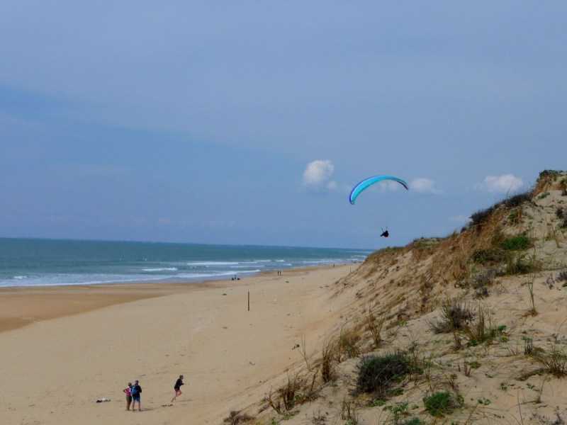 Enlarge P1010957.JPG