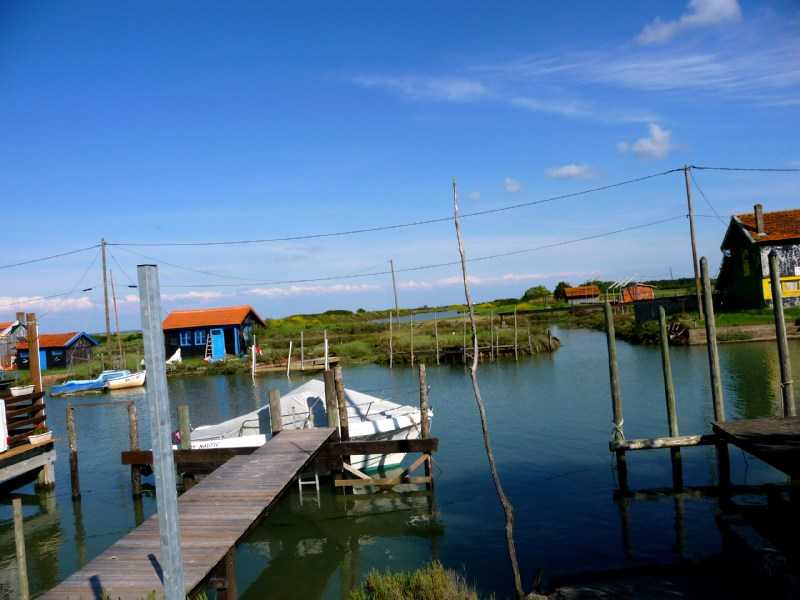 Enlarge P1010964.JPG