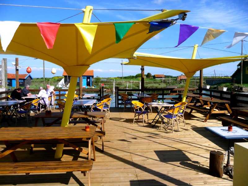 Enlarge P1010965.JPG