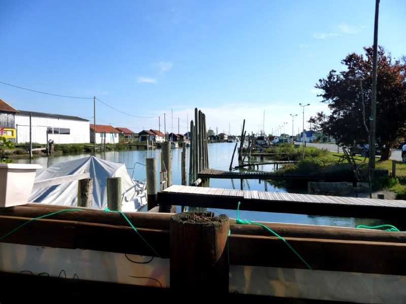 Enlarge P1010966.JPG