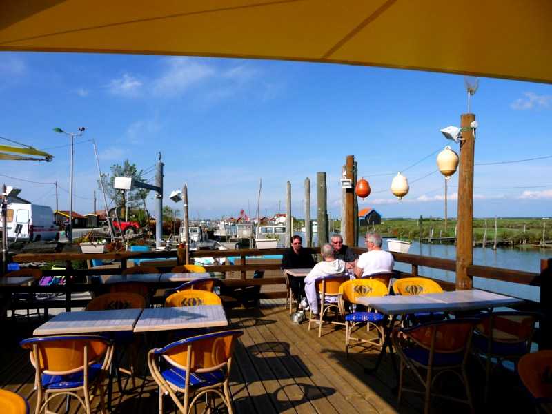 Enlarge P1010967.JPG