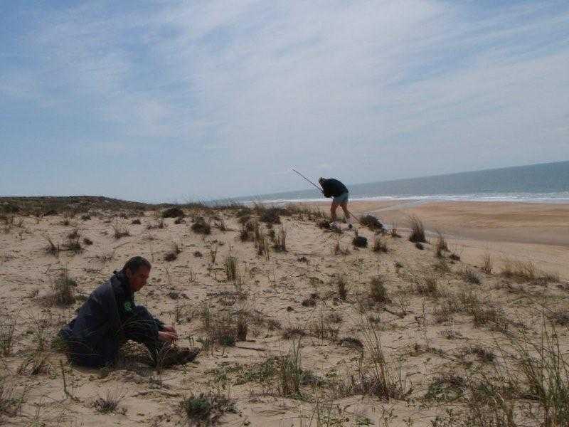 Enlarge dune2010005.jpg