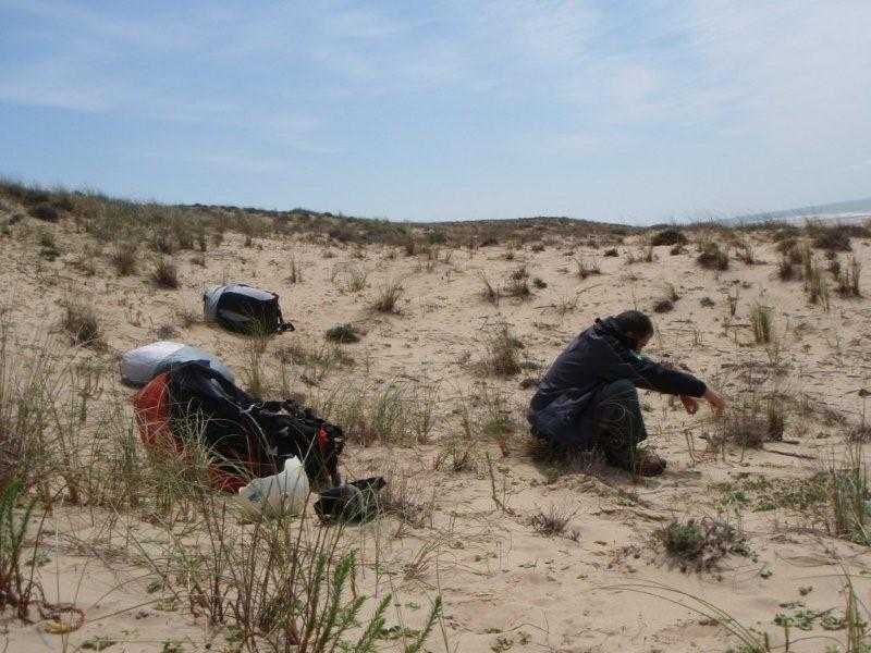 Enlarge dune2010006.jpg