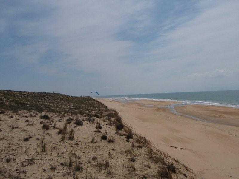 Enlarge dune2010017.jpg