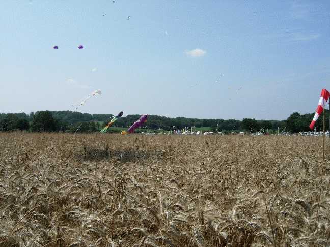 Enlarge DSCN0225.JPG