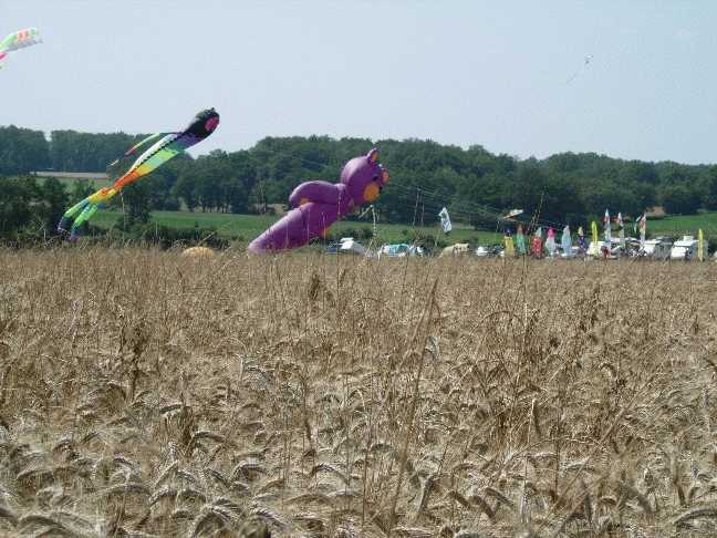 Enlarge DSCN0226.JPG