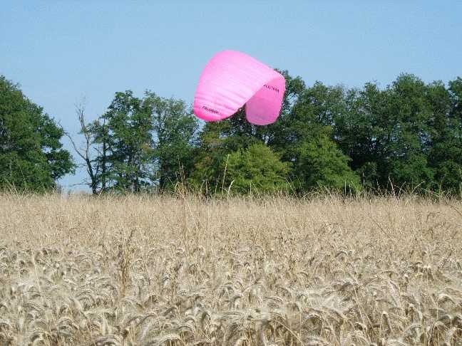 Enlarge DSCN0227.JPG