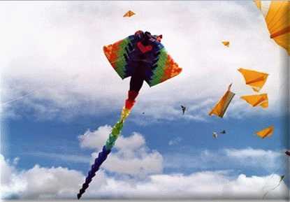 Enlarge cerfvolant2.jpg