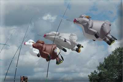 Enlarge cerfvolant3.jpg