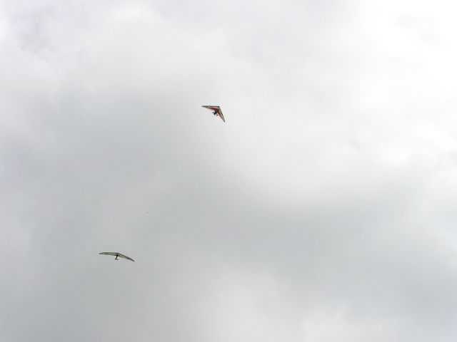 Enlarge P1010004.JPG