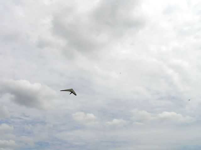 Enlarge P1010006.JPG