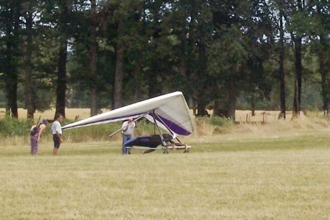 Enlarge deco_olivier.jpg