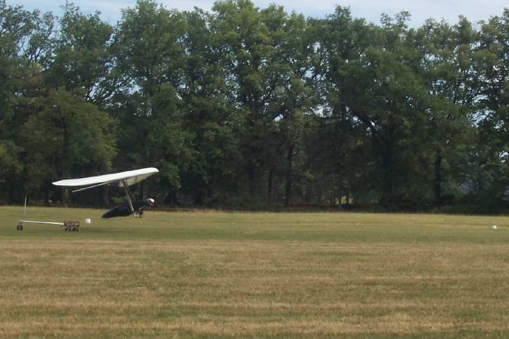 Enlarge deco_olivier2.jpg