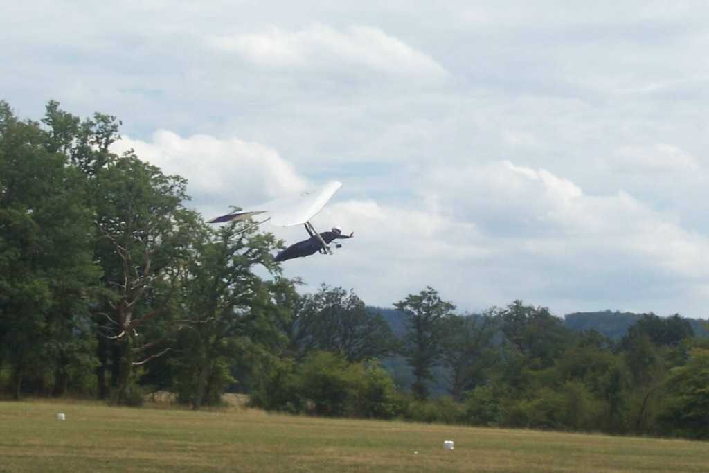 Enlarge deco_olivier3.jpg