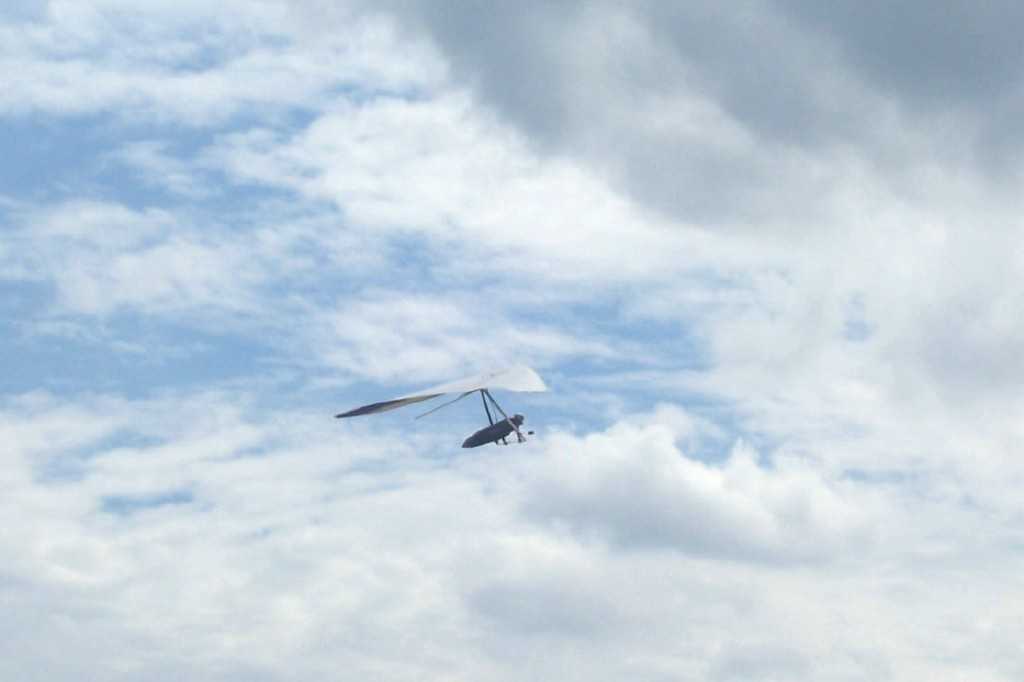 Enlarge deco_olivier4.jpg