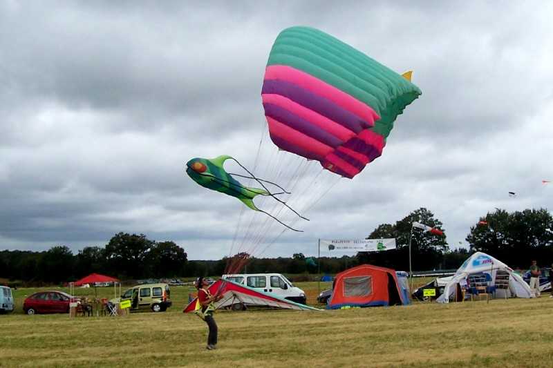 Enlarge 101_1720.JPG