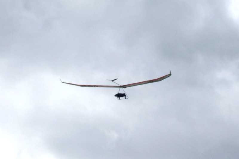 Enlarge 101_1760.JPG