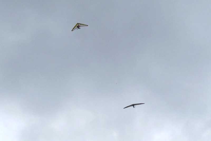 Enlarge 101_1761.JPG