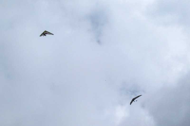 Enlarge 101_1762.JPG