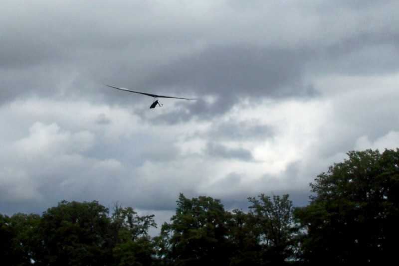 Enlarge 101_1769.JPG