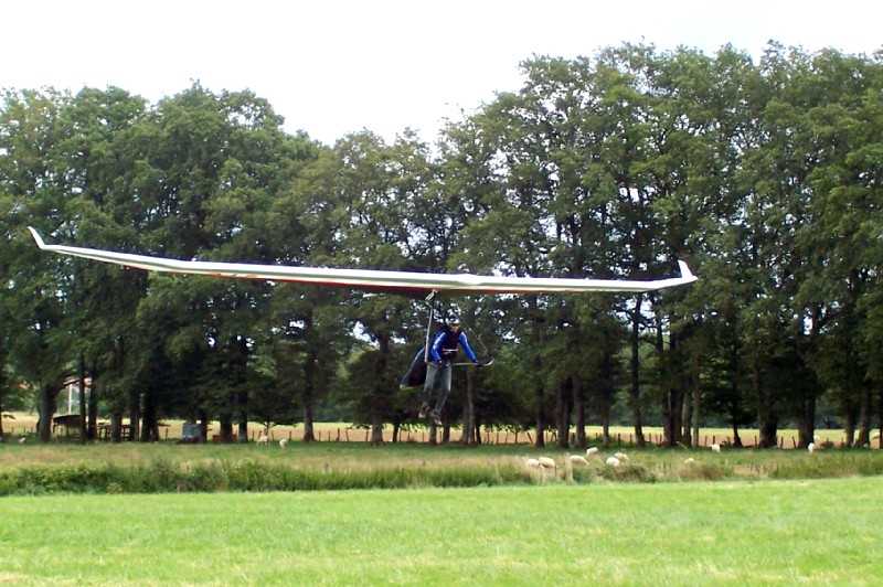 Enlarge 101_1772.JPG