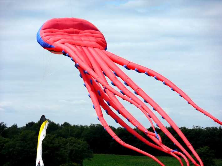 Enlarge SDC13488.JPG