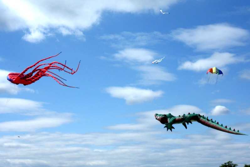 Enlarge SDC13593.JPG