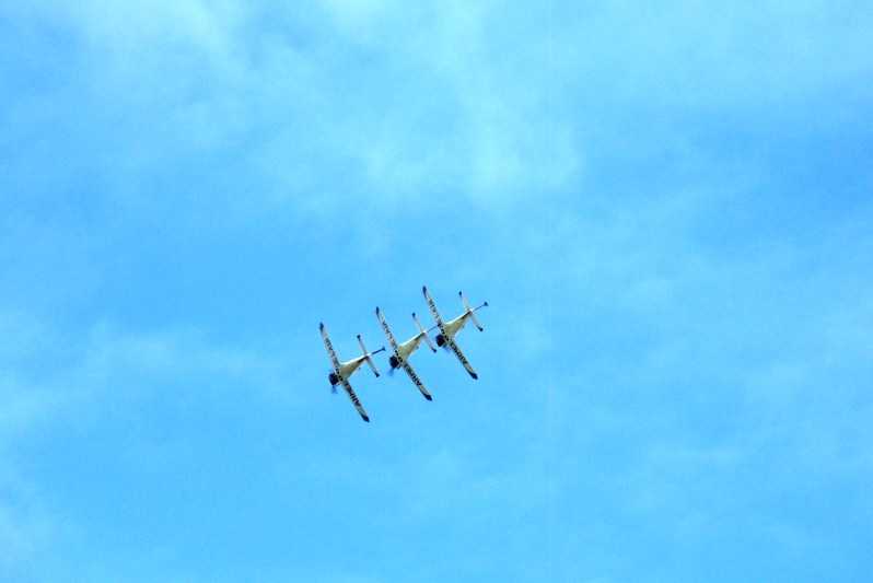 Enlarge SDC13597.JPG