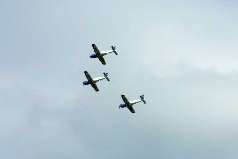 Enlarge SDC13611.JPG