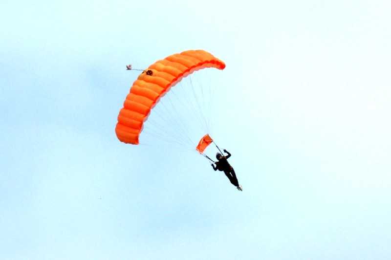 Enlarge SDC13637.JPG