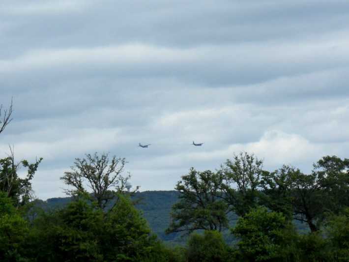 Enlarge SDC13690.JPG