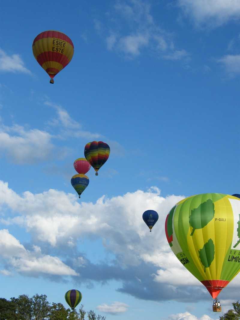 Enlarge 2008_08100491.JPG