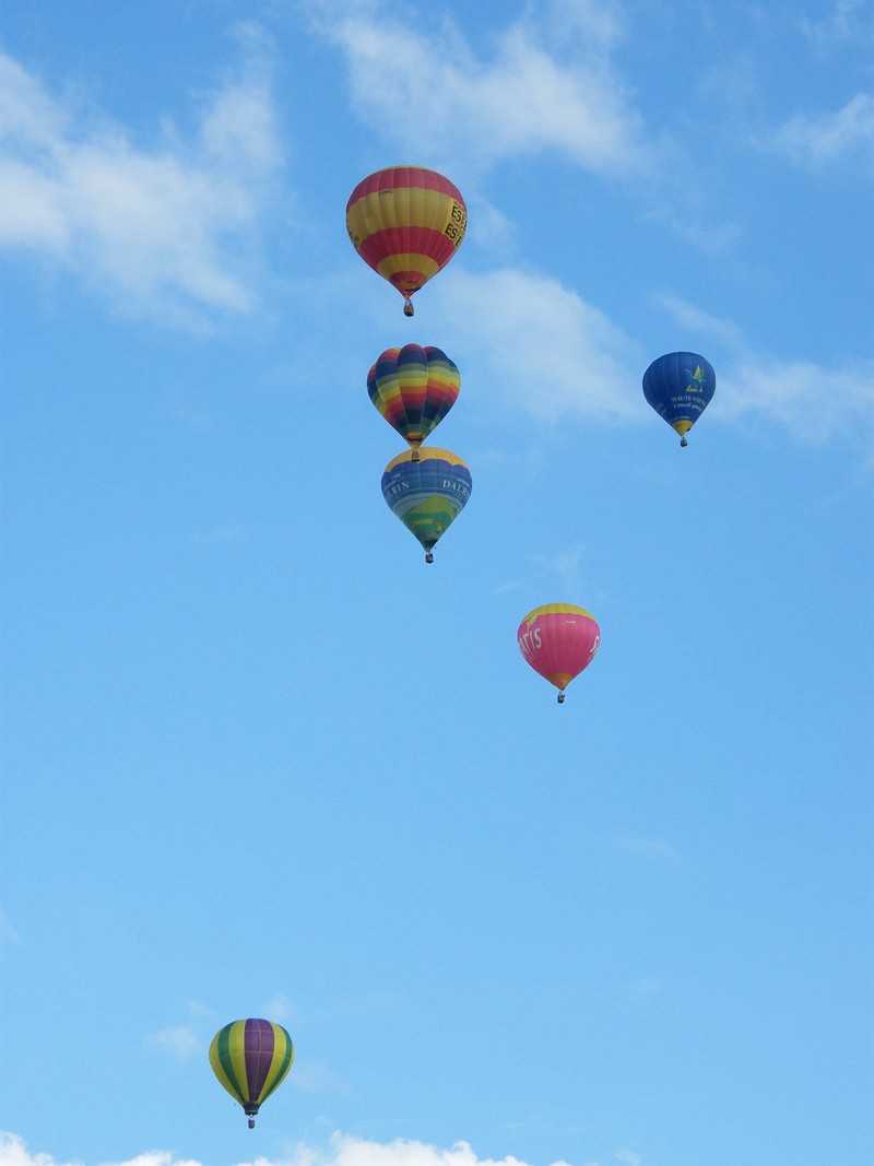 Enlarge 2008_08100498.JPG